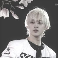 stay_fan76