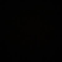 jan_igg7