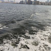 38kysr38_38