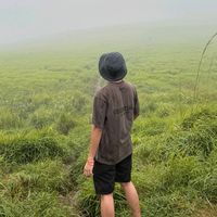 monycheat16