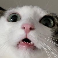 오리지널 사운드 - 김호섭hoseob