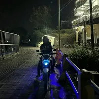 original sound - apw294