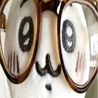 เสียงต้นฉบับ - ย่ากินิกุ