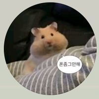 오리지널 사운드 - 템플릿쟁이 탱이 (탱아 아님)