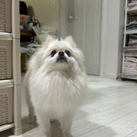 오리지널 사운드 - her55___