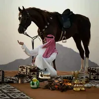 original sound - _ba_s