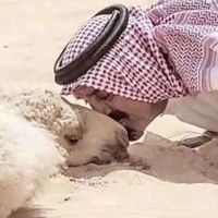 الصوت الأصلي
