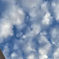 original sound - whsm2