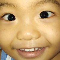 original sound - Roda Joaquin