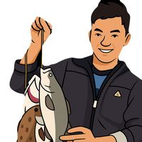 suara asli - FBR FISHING
