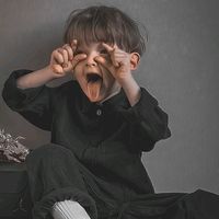 beemal_37