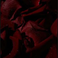 a_unkn0wn05