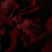 original sound - a_unkn0wn05