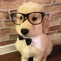 original sound - jkbpsssss