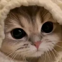 original sound - lauis.paul.padernos