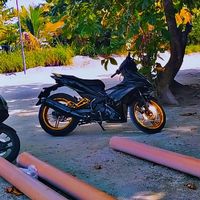 shutttuu7