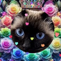 オリジナル楽曲 - 🩵空チョコ🧡🐈‍⬛💛