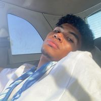 bleeesd2