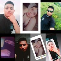 verdecitha_olivo473