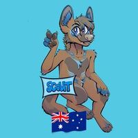 scout.wolf