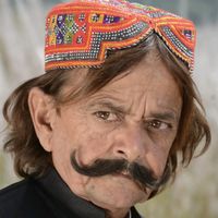zardad_bulbul