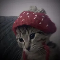 original sound - fytages.edits