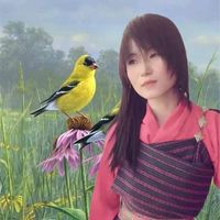 .cho.den