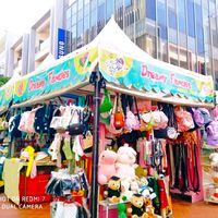 original sound - Dreamy Fancies Shop MGM