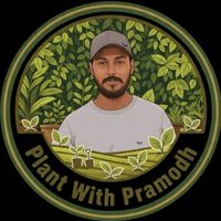 plantwithpramodh