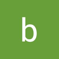 bloztanoa