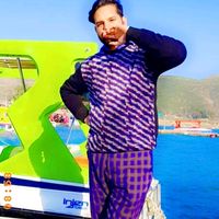 zishi_zee66