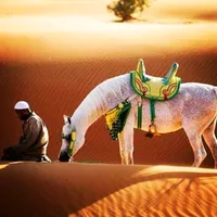 original sound - islomga_muhabbat_1l