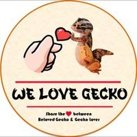 original sound - We Love Gecko 真爱守宫