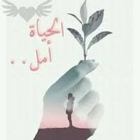 mno8338mno