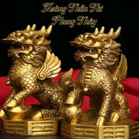 hoangthantai.phongthuy