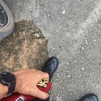 siagiannn10