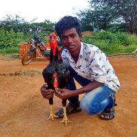 original sound - Paramasivamparamy Pa
