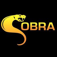 cobra.12122