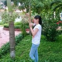 nhạc nền - camTienTran