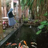 suara asli - Any Rizaldi573