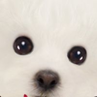 potato___122