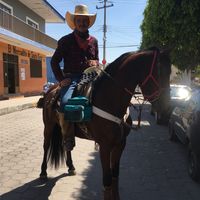 luiscorlopagro