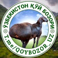 qoybozor_uz