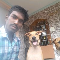 user8830668