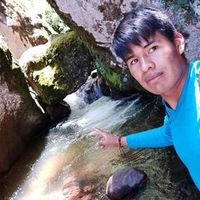 alexboliviayupanqui