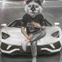 原聲 - ACE