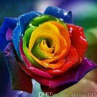 user24922599abir