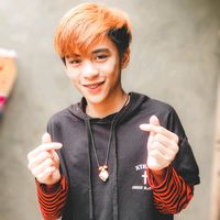 raven_sb