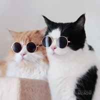 original sound - TheycallmeMeaow