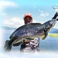 abfishingfishing